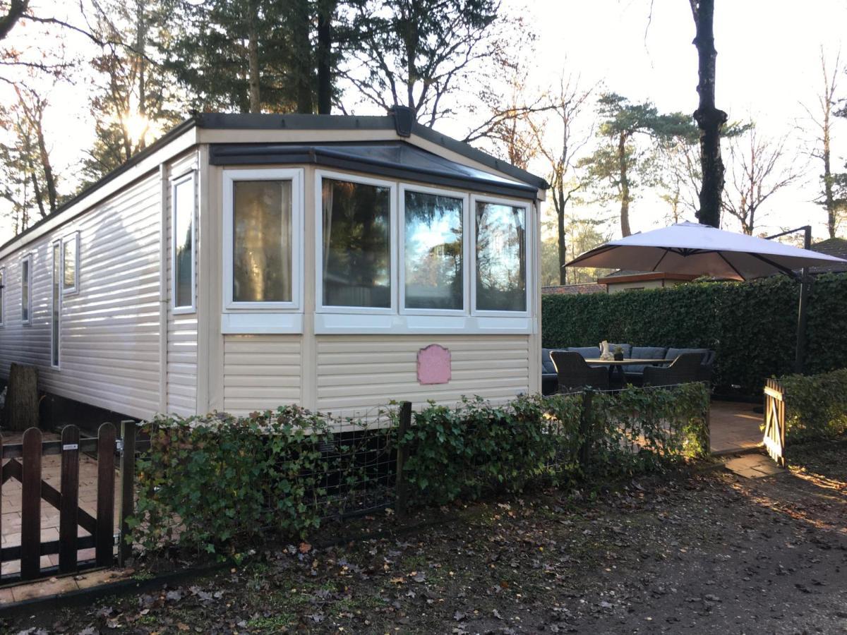 Prachtige Luxe Chalet Op De Veluwe Nabij הונדרלו מראה חיצוני תמונה